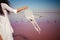 Photo of beautiful boho styled model wearing white on the beach in sunset. Dream catchers blown around by a light sea breeze