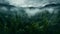 Photo of beautiful forest landscape in fog. Top view. For web design and background