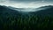 Photo of beautiful forest landscape in fog. Top view. For web design and background