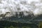 Photo of beautiful moody misty green coniferous forests in Alps