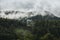 Photo of beautiful moody misty green coniferous forests in austrian Alps