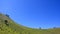 Photo of a beautiful Mount Merbabu Indonesia with natural landscape of the savanna with a bright blue sky