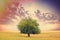 Photo of beautiful tree on the wonderful field and sky backgroun