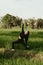 Photo of beautiful woman in black sportive suit practicing yoga in Bali rice field