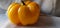 Photo of a beautiful yellow colour capsicum chilly with white background