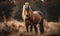 photo of Belgian horse in its natural habitat. Generative AI