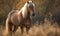 photo of Belgian horse standing in a field. Generative AI