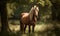 photo of Belgian horse standing in its natural habitat peaceful farm. The horse is standing in a field surrounded by lush green