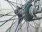 Photo of bicycle tyre which contains spokes and gear mechanism