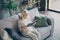 Photo of blond adorable aged granny sitting comfy sofa divan reading favorite historic novel book nice free time wear