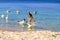 Photo of a blue sea with flocks of white gulls