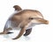 photo of bottlenose dolphin isolated on white background. Generative AI