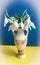 Photo of the bouquet of the first spring flowers  snowdrops  in the vase on the Ukrainian flag background