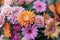 Photo Bouquet of pink and orange flowers