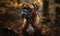 photo of Boxer dog on forest background. Generative AI