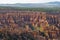 Photo of Bryce Canyon Rock Formation.