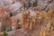 Photo of Bryce Canyon Rock Formation.