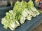 Photo of a bunch chinese cabbage on vendor stall shelf.