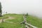 Photo from a camping in the Carpathians during heavy fog.  Hills covered with pine trees and green grass