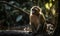 photo of capuchin monkey sitting on a tree branch with forest in the background. Generative AI