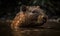 photo of capybara standing in water with forest background. Generative AI