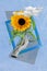 Photo cartoon collage picture of arm putting beautiful flower photo frame isolated blue color background