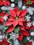 Photo Of Christmas Poinsettia Plant Surrounded By Snowflakes And Mistletoe. Generative AI