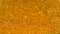 Photo of closeup texture of orange spice for meat and chicken and other food, background