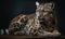 photo of clouded leopard on dark background. Generative AI