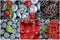 Photo collage berries