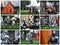 Photo Collage of free show of Knights fight in The Tower of London yard