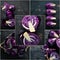 Photo collage of purple cabbage.
