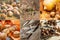 Photo collage six square images autumn, fall, hazelnuts, walnuts, dry colorful leaves, chestnuts in wicker basket, pumpkin