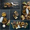 Photo collage of sprats, sandwiches and snacks. top view.