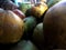 Photo of a collection of brown and green coconuts