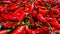 photo of a collection of red chilies at the night market.