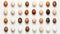 Photo of a colorful assortment of eggs on a pristine white background