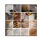 Photo composition of a cat\'s head made with various cats