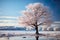 photo concept, capturing the serenity of a frozen tree in an empty winter landscape