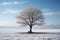 photo concept, capturing the serenity of a frozen tree in an empty winter landscape