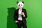 Photo of confident agent guy hold coffee cup wear panda head black tuxedo isolated on green color background