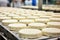 Photo of a conveyor belt filled with a variety of delicious cheeses. Industrial cheese production plant. Modern technologies.