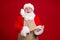 Photo of crazy stylish modern grey bearded santa claus hold rolling pin x-mas christmas meal preparation wear apron red