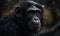 photo of crested black macaque on blurry bokeh background. Generative AI