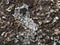 Photo of crushed glass