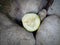 Photo of cucumber pieces that fall and are tucked between piles of river stones