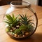 Photo of a cute terrarium with a little mushroom, Generative Ai