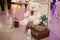 photo of a decor for christening party: a white teddy bear sitting on brown suitcases with flower arrangement and lamps near it