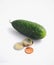 Photo depicting natural beautiful delicious single fresh green cucumber or with euro money coins, macro.