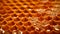 Photo of a detailed close-up of a honeycomb structure